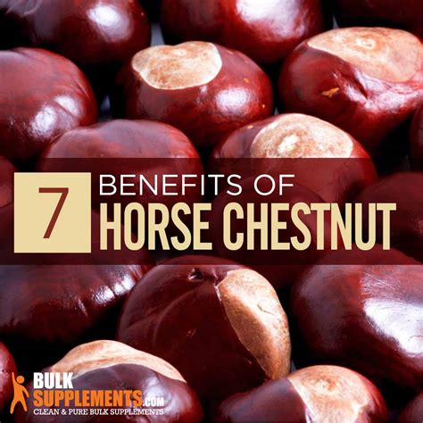 Horse Chestnut Benefits, Side Effects and Dosage