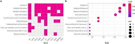 A Novel Machine Learning 13-Gene Signature: Improving Risk Analysis and ...