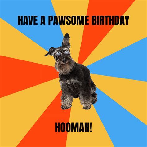 Free Happy Birthday Dog Meme Template to Edit Online