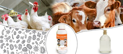 Product | Pinnacle BioSciences