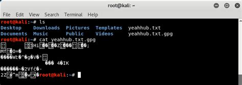 Encryption and Decryption of Files in Linux with GnuPG - Yeah Hub