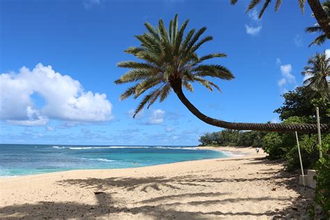 Land For Sale North Shore Oahu at Saul Carroll blog