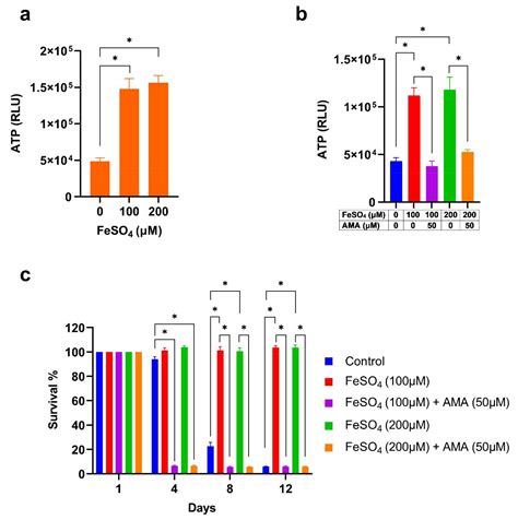Iron Supplementation Delays Aging and Extends Cellular Lifespan through ...