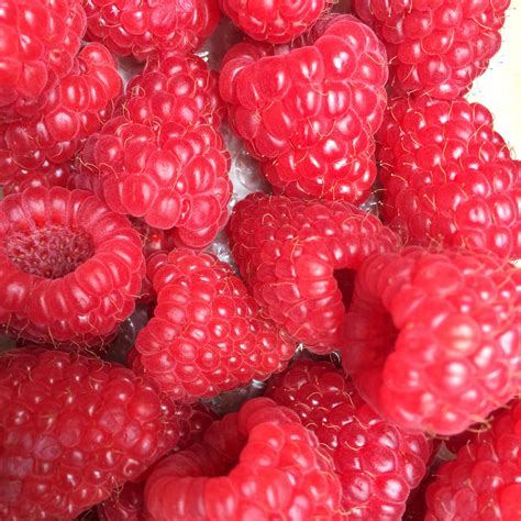 Image result for Raspbery Py