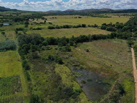 Image result for Pest Control Modimolle