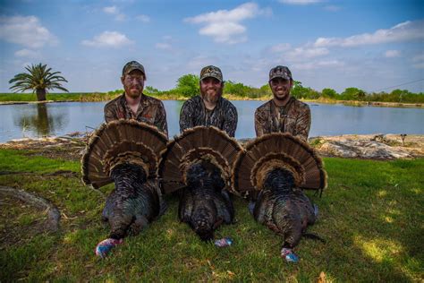 When Is Michigan Turkey Season? | HuntWise