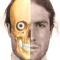 Skull, Anterior view with eye Drawing by Marc Gosselin | Saatchi Art