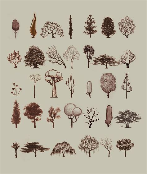 Image result for Design Tree Tutorial