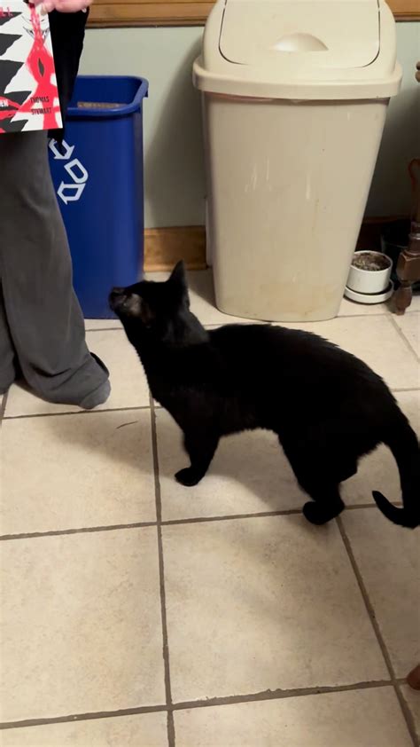 Nora B. Peevy (@nora_b._peevy) • Instagram photos and videos