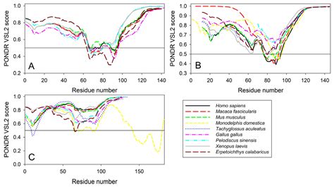 Exploring Intrinsic Disorder in Human Synucleins and Associated Proteins