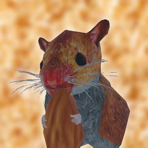 Java Hamster Simulator 的图像结果