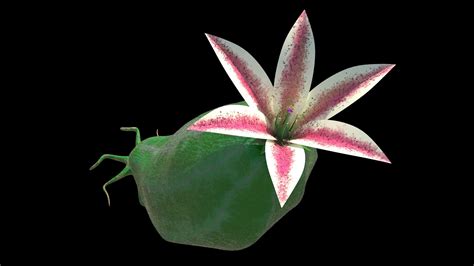 Image result for Alien Plant 3D Inseminate