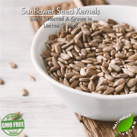 Why Do Baseball Players Eat Sunflower Seeds? Reasons