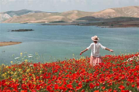Country Woman 的图像结果