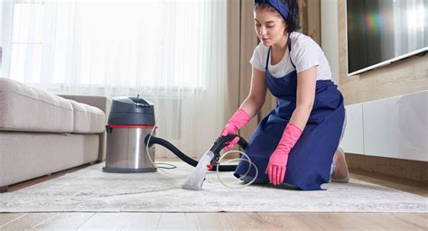 The Ultimate Guide to Choosing the Right Carpet Cleaner Solution for ...