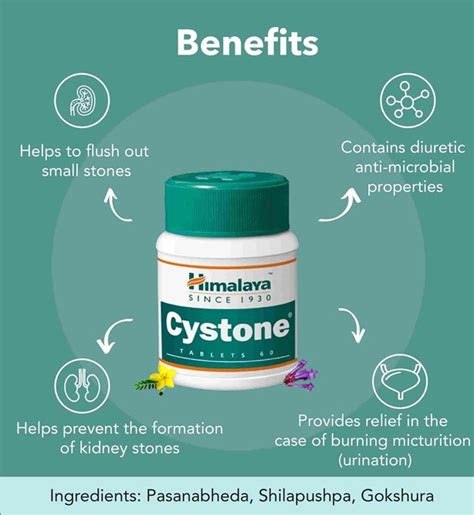 Himalaya Cystone Tablets 60 no.s – Cackle's