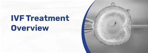 In vitro fertilization (IVF): Process, Preparation and Success Rate