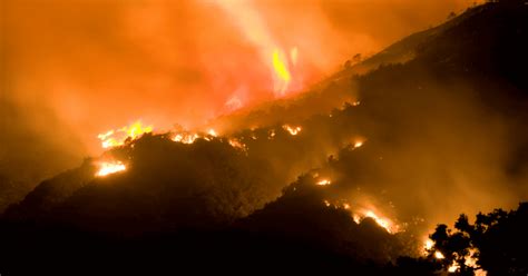 Image result for Forest Fire Project