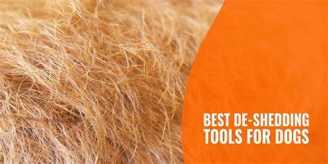 15 Best Deshedding Tools for Dogs [2026 – Reviews]