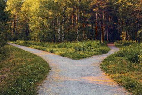 Image result for Path Divides