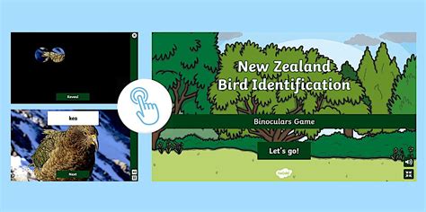 New Zealand Bird Identification Binoculars Game