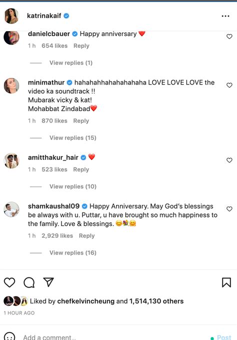 VicKat First Anniversary: Katrina drops most special wish for Vicky
