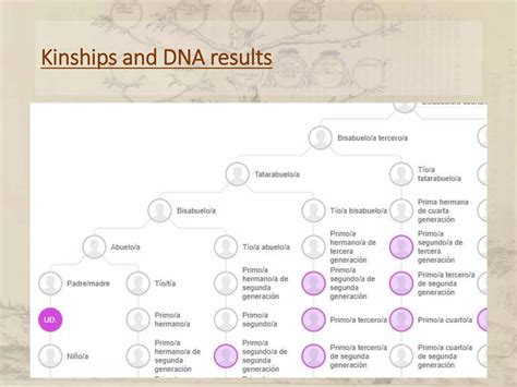 How to explain degrees of family relationships | PDF