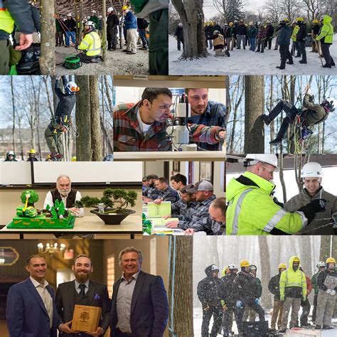 Davey Tree Service 的图像结果