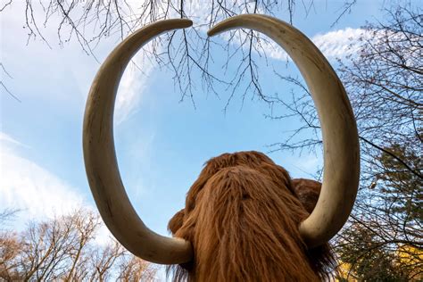 Ice Age Icons Arrive at Pittsburgh Zoo & Aquarium - Pittsburgh Zoo ...