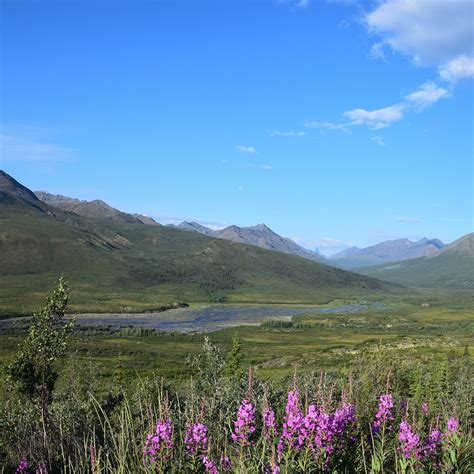 Tombstone Territorial Park, Dawson City - Tripadvisor