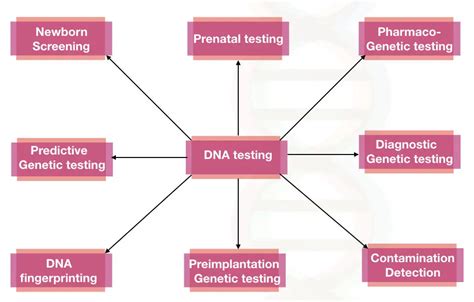 Genetic Testing Procedure 的图像结果