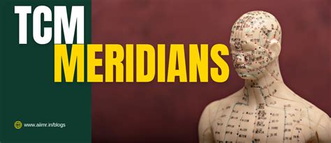 Blog Details | Aatmshakti Institute of Integrated Medical Research