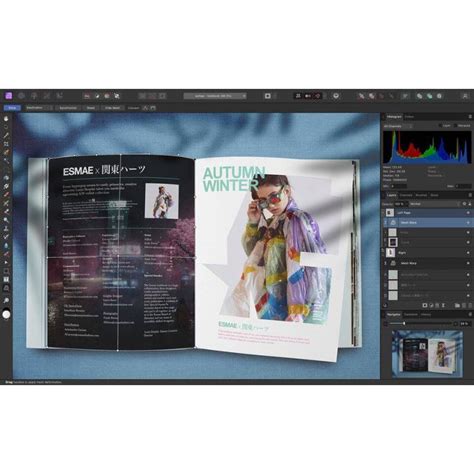 Image result for Affinity Designer Windows Software