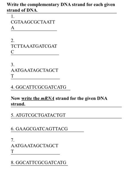 Image result for DNA Complementary Strand Drawing