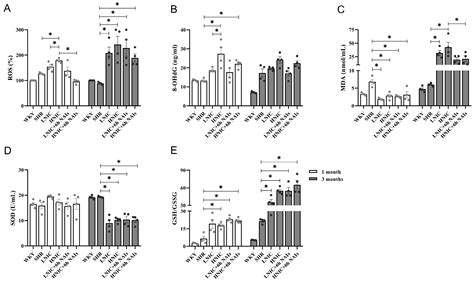Negative Air Ions Attenuate Nicotine-Induced Vascular Endothelial ...