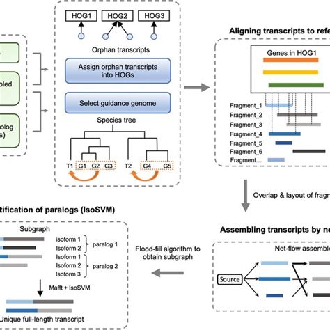 Image result for Transcriptome Assembly