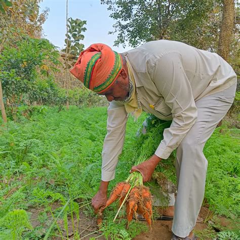 koh! foods- Shop online now! – kohfoods