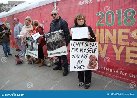 Yulin Dog Festival Protestors Chinese New Year, Year of the Dog London ...
