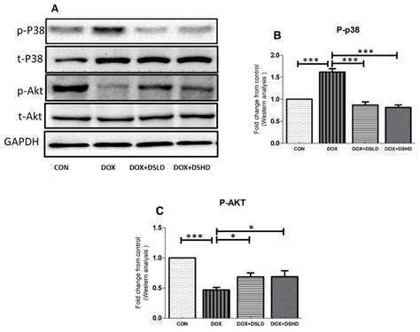 Diosmin Alleviates Doxorubicin-Induced Liver Injury via Modulation of ...