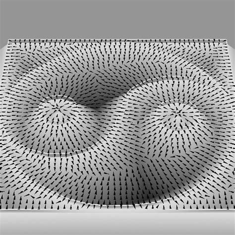 Image result for Direction Field Calculus