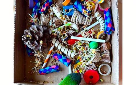 Image result for Brooding Parrot