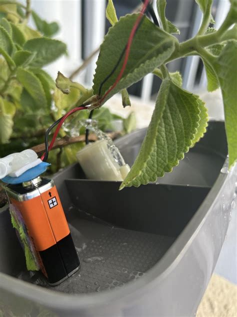 Image result for Automatic Plant Watering System Using Arduino and Bluetooth Module