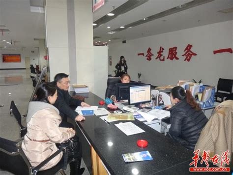 岳阳县人民政府-政务服务中心