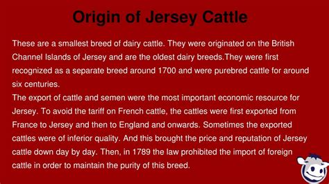 PPT - Jersey cow an attractive cow breed animal PowerPoint Presentation ...