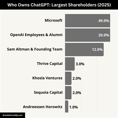 Chatgpt Owned By Who