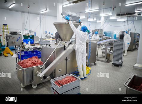 Inside Cattle Processing Plant Video 的图像结果