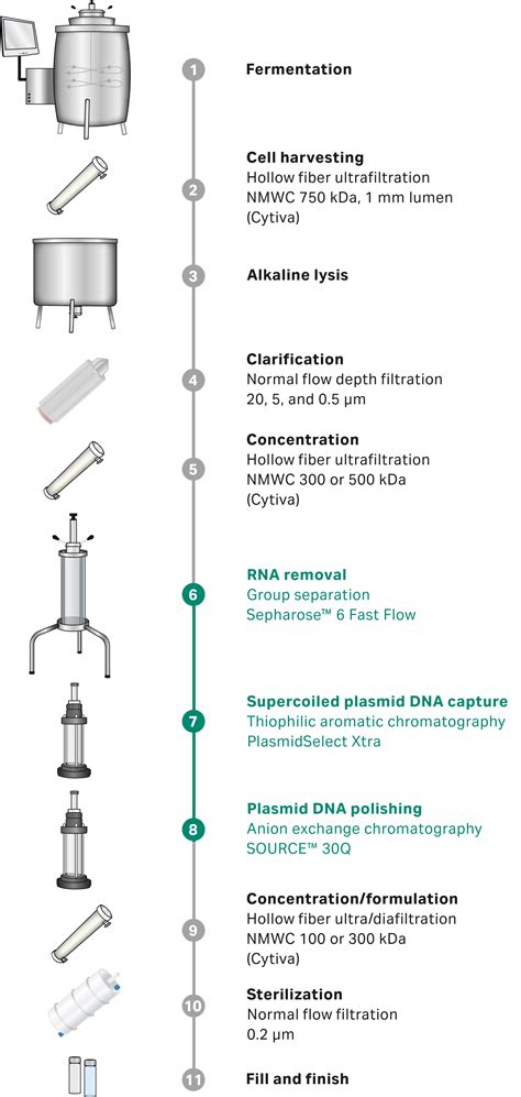 Plasmid Isolation 的图像结果