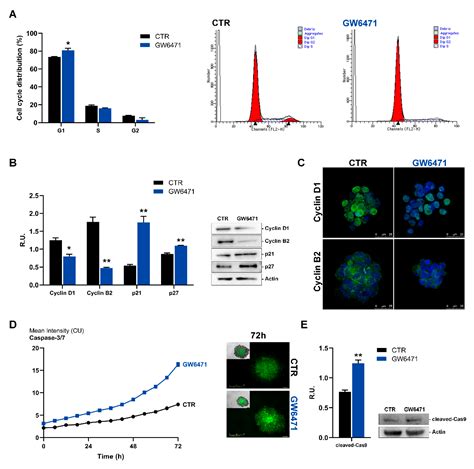 PPARα-Selective Antagonist GW6471 Inhibits Cell Growth in Breast Cancer ...