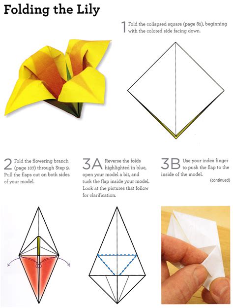 Origami Lily Tutorial 的图像结果