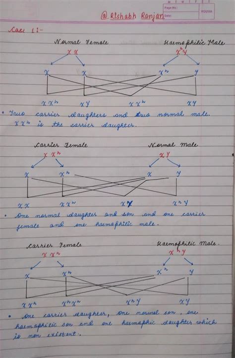 Explain inheritance of haemophilia - Brainly.in